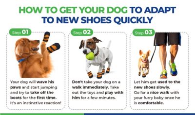 Image showing 6 th Healers Urban Walker Dog Boots, 2-Pack