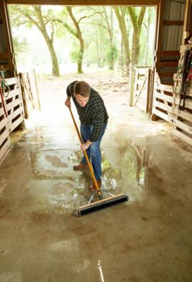 Image showing  24 in. Heavy-Duty Wet/Dry Push Broom with Squeegee