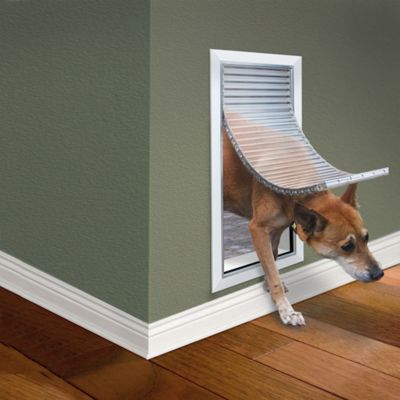 Insulated Pet Doors for Walls - Dog Doors for Walls - Freedom Pet Pass