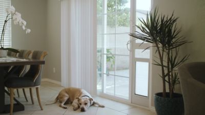 Image showing  Armor Flex Pet Door, Regular Height, Extra-Large 12.25 in. x 25 in. Opening