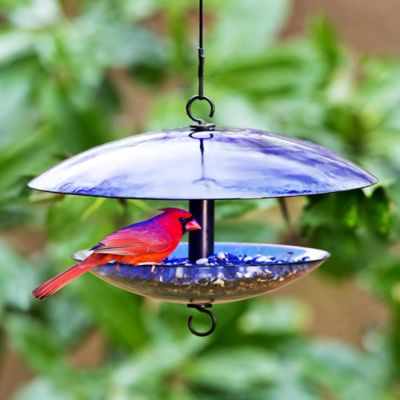 Image showing  32 oz. Domed Glass Bird Feeder, Cobalt Blue