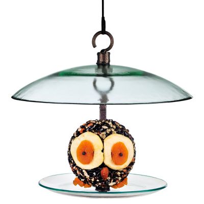 Image showing  Petite Seed Cylinder Bird Feeder, 1.75 lb. Suet Block Capacity, Clear