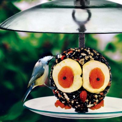 Image showing  Petite Seed Cylinder Bird Feeder, 1.75 lb. Suet Block Capacity, Clear