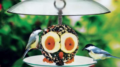 Image showing  Petite Seed Cylinder Bird Feeder, 1.75 lb. Suet Block Capacity, Clear