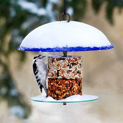 Image showing  Petite Seed Cylinder Bird Feeder, 1.75 lb. Suet Block Capacity, Cobalt Blue