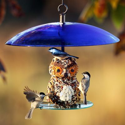 Image showing  Large Seed Cylinder Bird Feeder, 4 lb. Suet Block Capacity, Cobalt Blue