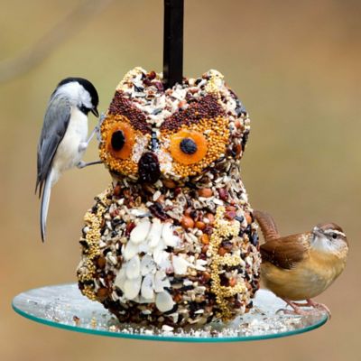 Image showing  Large Seed Cylinder Bird Feeder, 4 lb. Suet Block Capacity, Cobalt Blue