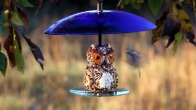 Image showing  Large Seed Cylinder Bird Feeder, 4 lb. Suet Block Capacity, Cobalt Blue