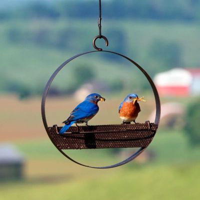 Image showing  Bistro Hanging Bird Feeder, Dark Copper