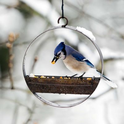 Image showing  Bistro Hanging Bird Feeder, Dark Copper