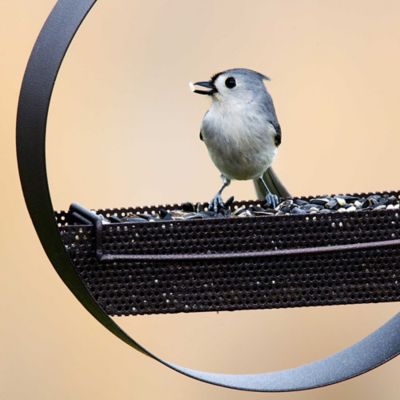 Image showing  Bistro Hanging Bird Feeder, Dark Copper
