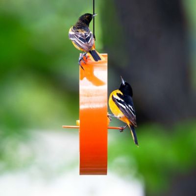 Image showing  Bistro Hanging Bird Feeder, Orange