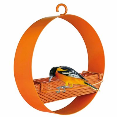 Image showing 5 th Mosaic Birds Bistro Hanging Bird Feeder, Orange