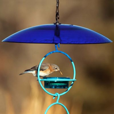 Image showing  Bird Feeder Glass Weather Dome, 15 in., Blue