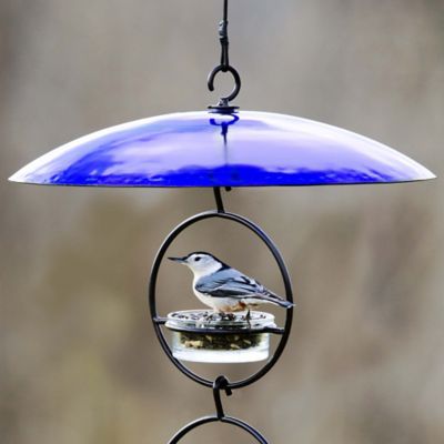 Image showing  Bird Feeder Glass Weather Dome, 15 in., Blue