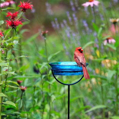 Image showing  37 in. Cuban Garden Stake Bird Bath/Bird Feeder, Aqua