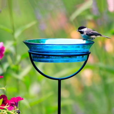 Image showing  37 in. Cuban Garden Stake Bird Bath/Bird Feeder, Aqua