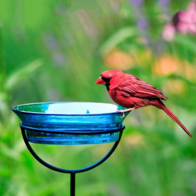 Image showing  37 in. Cuban Garden Stake Bird Bath/Bird Feeder, Aqua