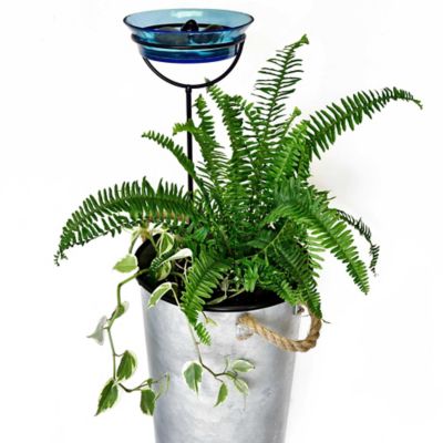Image showing  37 in. Cuban Garden Stake Bird Bath/Bird Feeder, Aqua
