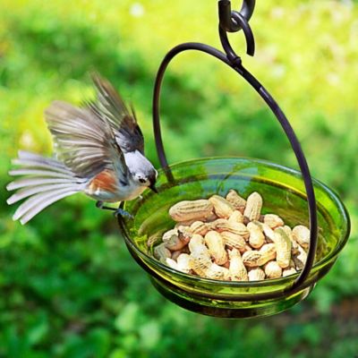 Image showing  9.75 in. Hanging Cuban Bird Bath/Bird Feeder, Lime