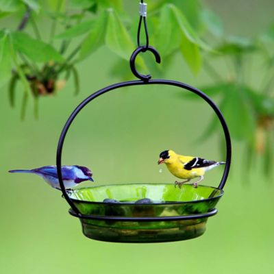 Image showing  9.75 in. Hanging Cuban Bird Bath/Bird Feeder, Lime
