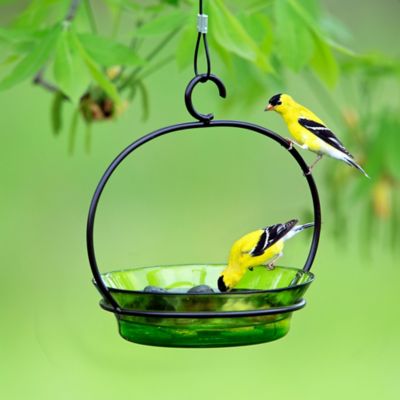 Image showing  9.75 in. Hanging Cuban Bird Bath/Bird Feeder, Lime