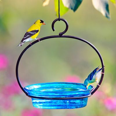 Image showing  9.75 in. Hanging Cuban Bird Bath/Bird Feeder, Aqua
