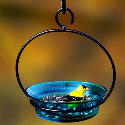 Image showing  9.75 in. Hanging Cuban Bird Bath/Bird Feeder, Aqua