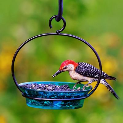 Image showing  9.75 in. Hanging Cuban Bird Bath/Bird Feeder, Aqua