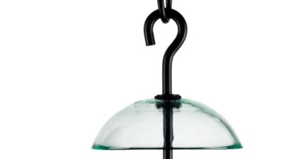 Image showing  Double Hanging Poppy Bird Feeder, Clear
