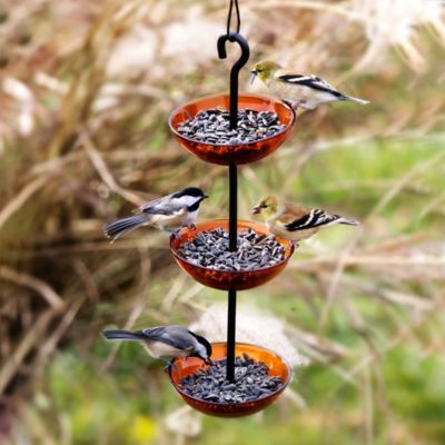 Image showing  Triple Hanging Poppy Bird Feeder, 4.7 oz. Capacity, Orange