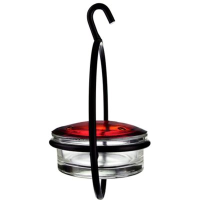 Image showing  3.4 oz. Hummble Basic Hummingbird Feeder