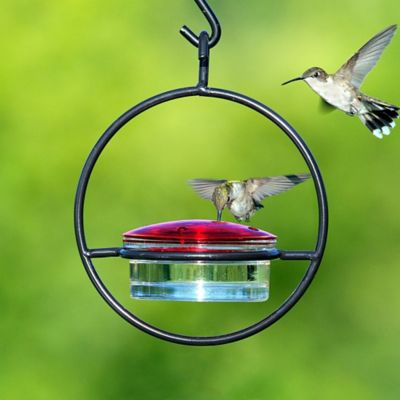 Image showing  3.4 oz. Hummble Basic Hummingbird Feeder