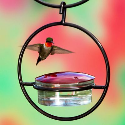 Image showing  3.4 oz. Hummble Basic Hummingbird Feeder