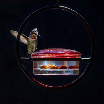 Image showing 5 th Mosaic Birds 3.4 oz. Hummble Basic Hummingbird Feeder