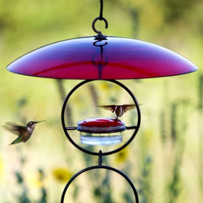 Image showing 8 th Mosaic Birds 3.4 oz. Hummble Basic Hummingbird Feeder