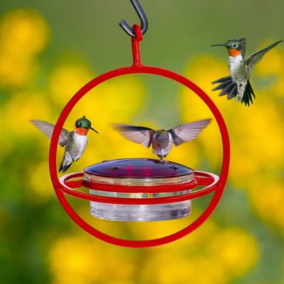 Image showing  3.4 oz. Hummble Bold Hummingbird Feeder, Red
