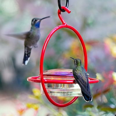 Image showing 5 th Mosaic Birds 3.4 oz. Hummble Bold Hummingbird Feeder, Red