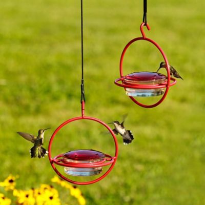 Image showing 6 th Mosaic Birds 3.4 oz. Hummble Bold Hummingbird Feeder, Red