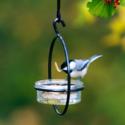 Image showing  Hummble Basic Bird Feeder, Clear