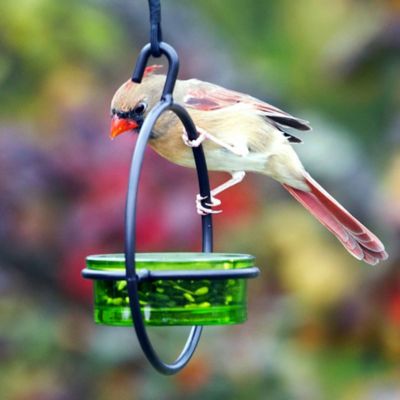 Image showing  Hummble Basic Bird Feeder, Lime