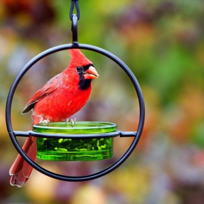 Image showing  Hummble Basic Bird Feeder, Lime
