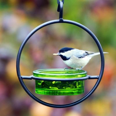 Image showing  Hummble Basic Bird Feeder, Lime
