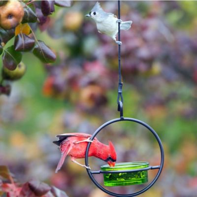 Image showing  Hummble Basic Bird Feeder, Lime