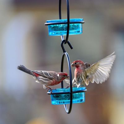 Image showing  Hummble Basic Bird Feeder, Aqua