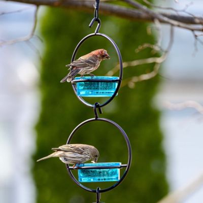 Image showing  Hummble Basic Bird Feeder, Aqua