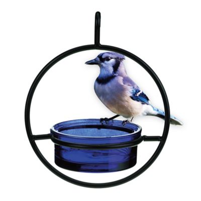 Image showing  Hummble Basic Bird Feeder, Cobalt