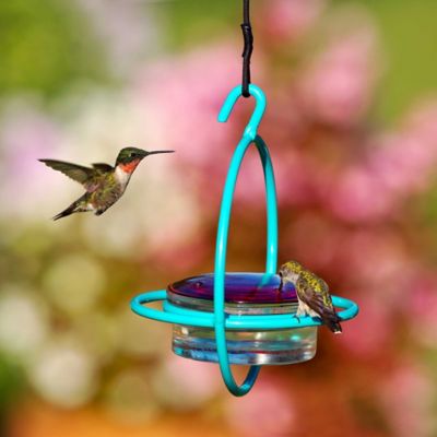 Image showing  Hummble Bold Hummingbird Feeder, 3.4 oz. Capacity, Aqua
