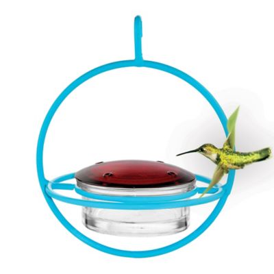 Image showing  Hummble Bold Hummingbird Feeder, 3.4 oz. Capacity, Aqua