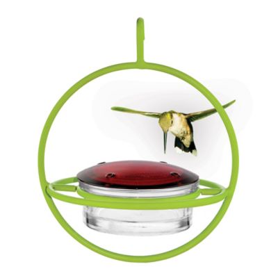 Image showing  Hummble Bold Hummingbird Feeder, 3.4 oz. Capacity, Lime